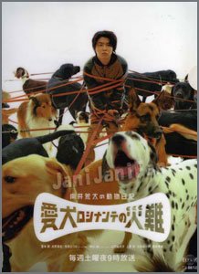 向井荒太の動物日記〜愛犬ロシナンテの災難〜
